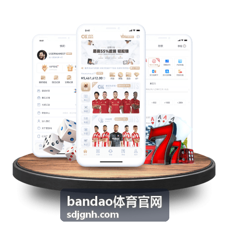 bandao体育官网深度分析