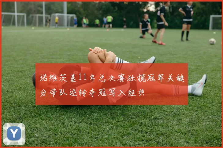 诺维茨基11年总决赛独揽冠军关键分带队逆转夺冠写入经典