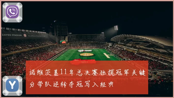诺维茨基11年总决赛独揽冠军关键分带队逆转夺冠写入经典