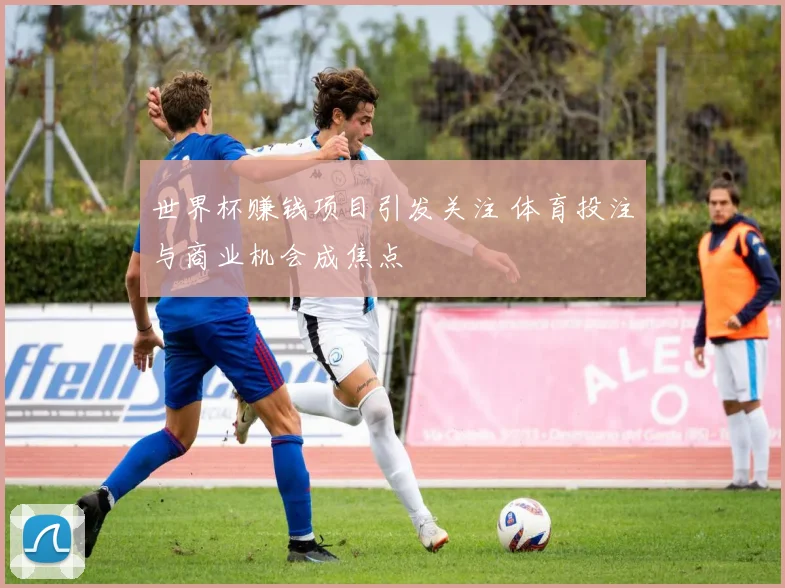 世界杯赚钱项目引发关注 体育投注与商业机会成焦点