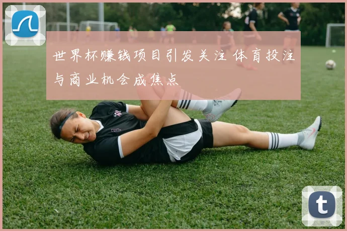 世界杯赚钱项目引发关注 体育投注与商业机会成焦点