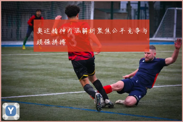 奥运精神内涵解析聚焦公平竞争与顽强拼搏