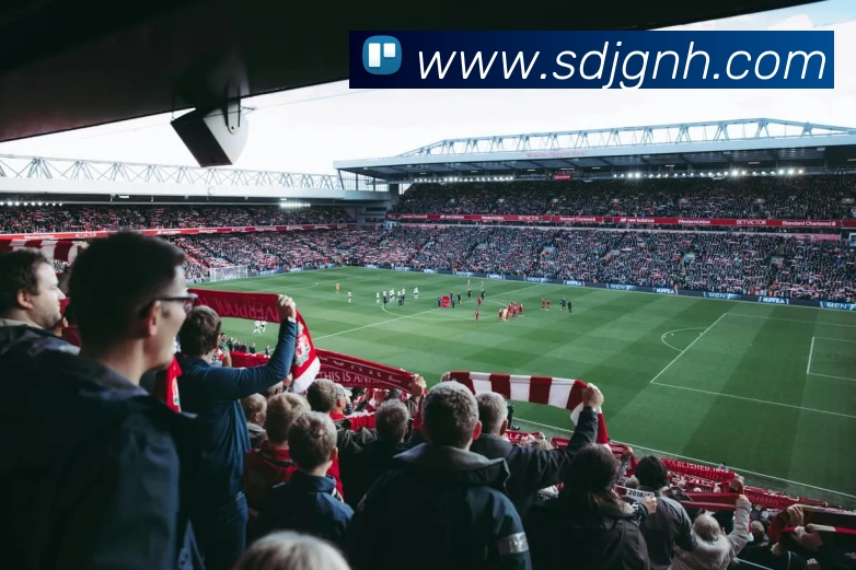 世界杯官方网页版 - 世界杯(中国)发展历程