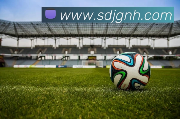 NBA最矮球员博格斯生涯回顾身高仅160成就传奇