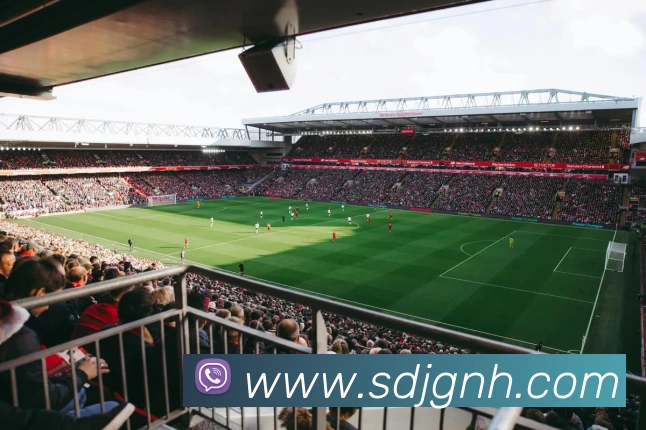 2021世界杯官网APP 封面图